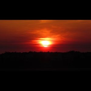 Meet your Posher, Cassidy